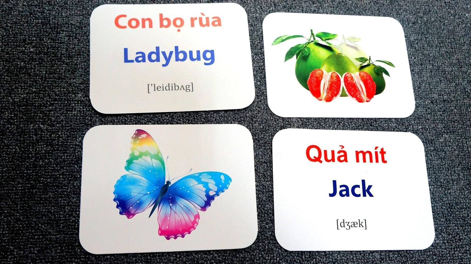 Học tiếng Anh lớp 1 cùng bé với flashcard