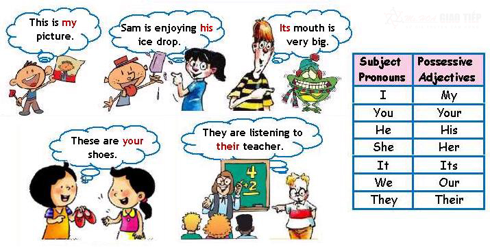 Cách dùng tính từ sở hữu trong tiếng Anh